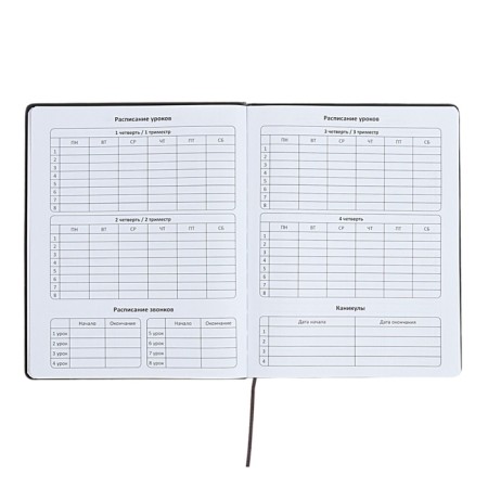 The universal diary for grades 1-11 is "anime", a solid cover made of artificial leather, application, lies, 48 ​​sheets, blue-5