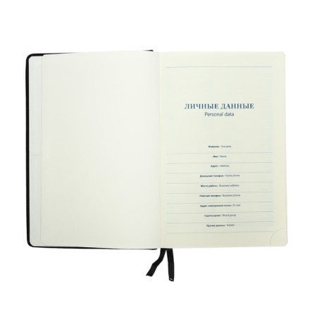 Delivery of Leduced A5, 136 sheets in a ruler, leatherette "Nebraska", silver cut, black-6