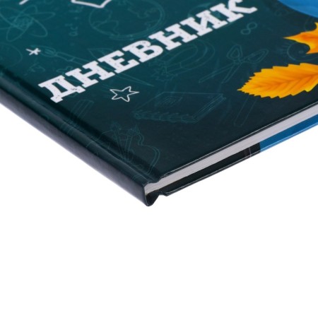 Universal diary for grades 1-11, "school", solid cover 7BC, glossy lamination, 40 sheets-3