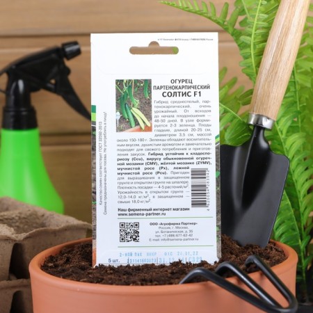 Cucumber seeds "Saltis", F1, 5 pcs.-3