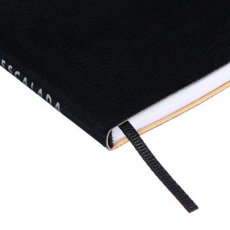 Book D/PBS LOG and Password A7+ 56 L Escalada, soft region, leather claim, TIS F, Las, BL 70g/m², black-2