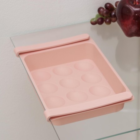 Shelf for eggs in the refrigerator, suspended, 12 cells, 26 × 17 × 5 cm, color mix-10