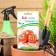 Seeds Tomat "Lyubasha" F1, 0.1 g