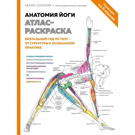 Yoga anatomy: atlas coloring. Visual guide in the body - from structure to conscious practice. Soloway K.