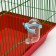 Grazni set: a ball 10 cm and a drinker 60 ml, blue