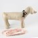 Set "Rombs", fastener - fastx, leash 2 m and collar 28-46 cm