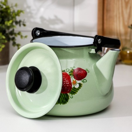 Spherical kettle, 3 l, induction, neckline, lightning color-1