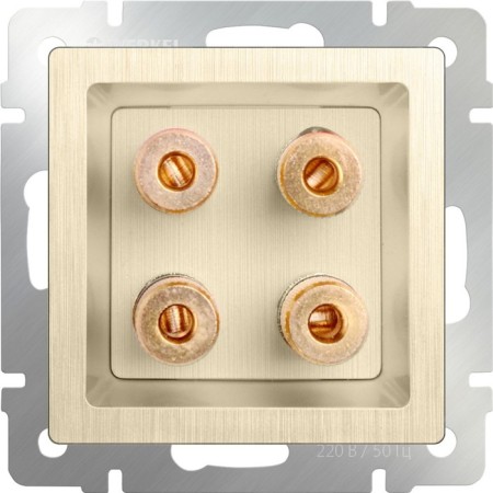 Acoustic socket WL10-Audiox4, Shampan