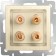 Acoustic socket WL10-Audiox4, Shampan