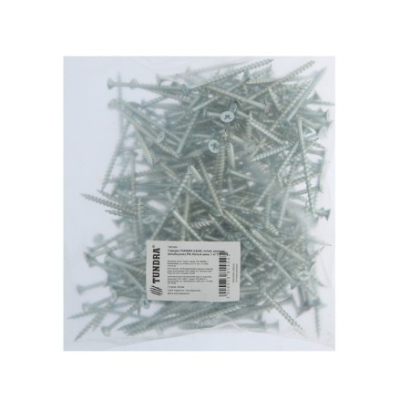 Self -cut through 3.8x65 mm tundra Premium, hide, large threads, pH slings, white zinc, 1 kg-1