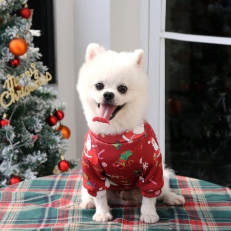 New Year's sweatshirt for animals "Gifts", size XS, Red (DS 20, Osh 22, OG 30 cm)-1