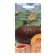 Seeds of Pumpkin Canteen "Chocolate Muscovite", 7 pcs.