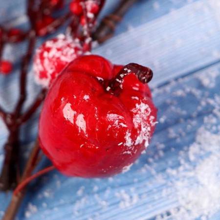 Decor "Winter Charm" a twig with apples, 23 cm-1