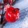 Decor "Winter Charm" a twig with apples, 23 cm