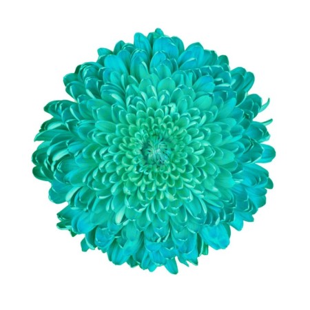 Floistic dye, for flowers, turquoise, 300 ml-2