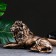 Piggy bank "lion lying small" 20x33x14cm