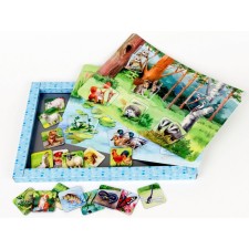 Magnetic stories 