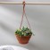 Street Kashpo for flowers suspended "Mirabel", 2.5 l, brown color