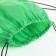 Back for shoes on the lace, textura, green color