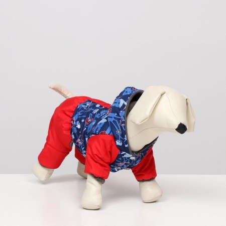 Zimovye jumpsuit for animals "Skier", S (DS 20-22, Osh 24-26, OG 32-34 cm), Mix