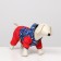 Zimovye jumpsuit for animals "Skier", S (DS 20-22, Osh 24-26, OG 32-34 cm), Mix