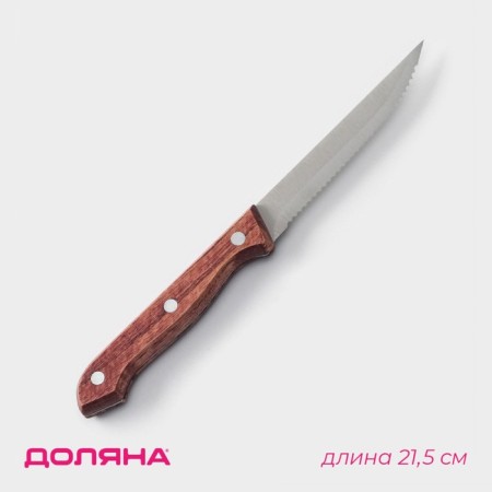 Knife for meat and steaks of the ecology shade, blade 11 cm, brown color