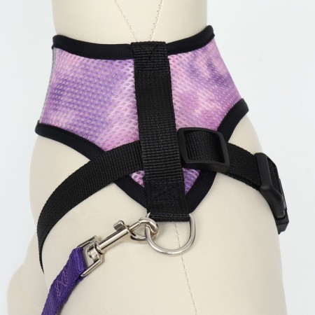 A set for dogs 3-5 kg, size S, leash 120 x 1.5 cm, Osh 24 cm, OG 34 cm-3
