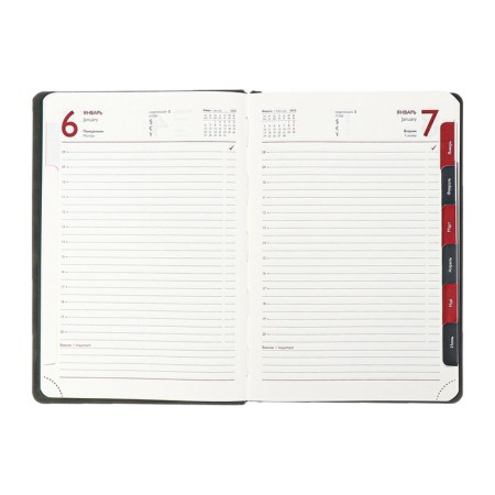 Dated 2025 diary, Escalada, A4, 120 sheets, soft cover, artificial skin, foil embossing, liesse, block 70 g/m2, green block-10