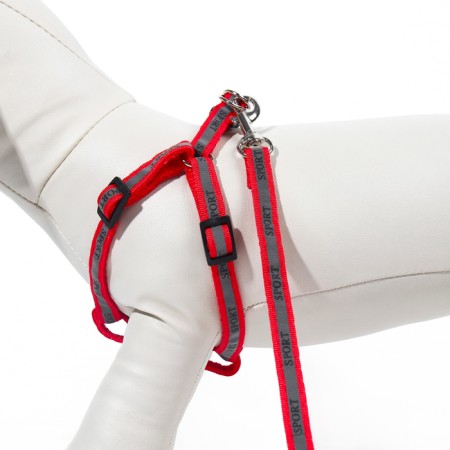 Sports set a reflective, leash 120 x 1 cm, fire 23-35 cm, red-4