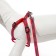 Sports set a reflective, leash 120 x 1 cm, fire 23-35 cm, red