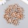 Decor for creativity plastic, rhinestones "Golden chamomile" set of 12 pcs 3x3 cm