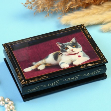 Casket "Cat with a pink collar" 10 × 14 cm, black