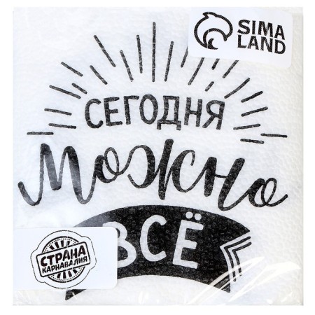 Paper napkins “Today you can do everything”, single -layer, 24x24 cm, set of 20 pcs.-2