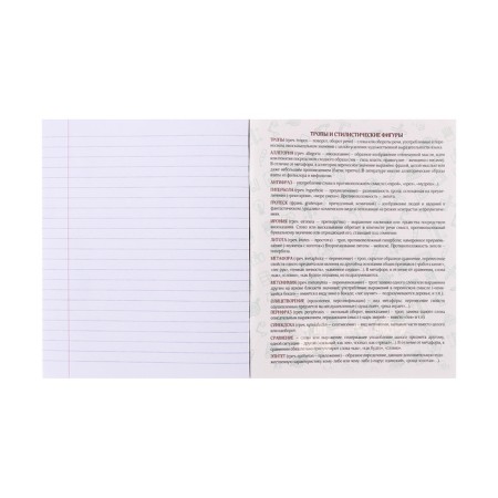 Complet object tetra 48l 10 subject neon animals Calligrata Top, Help Mate, Chalk, Neon, Offset-15