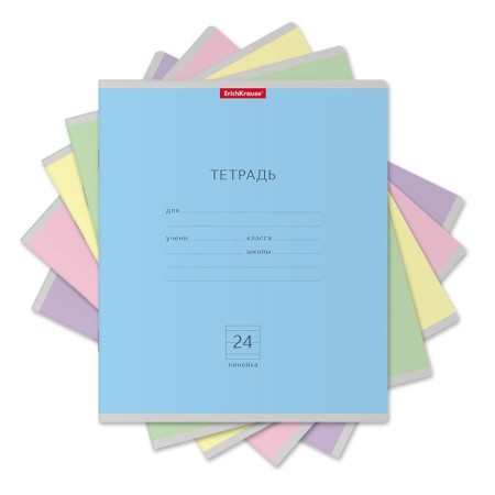 Notebook 24 sheets in the Erichkrause "Classic", cover coated cardboard, offset block, mix (1 species in the adhesion)-6