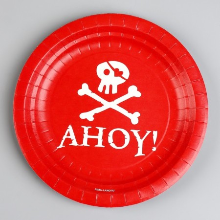 Disposable paper plate "Pirates", 18 cm-1