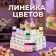 Top Decor Purple Decor Food dye, 30g