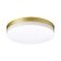 Opal lamp, 1x30W LED, 4000K, 2800LM, IP54, color gold
