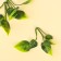 A branch of greens, size 1 pc. - 10 × 4 × 4 cm, set 3 pcs.