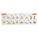 Magnetic designer "Magic Magnet", 52 details