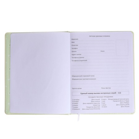 Universal diary for grade 1-11 Avocado Hug, solid cover, artificial leather, silkography, liesse, 80 g/m2-3