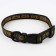 Collar "carefully", fastener - fastx, 2 cm 25-40 cm