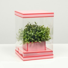 Box for flowers with a vase and PVC windows are folding, saturated pink, 16 x 23 x 16 cm