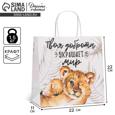Gift package, packaging, "Kindness", 22 x 22 x 11 cm
