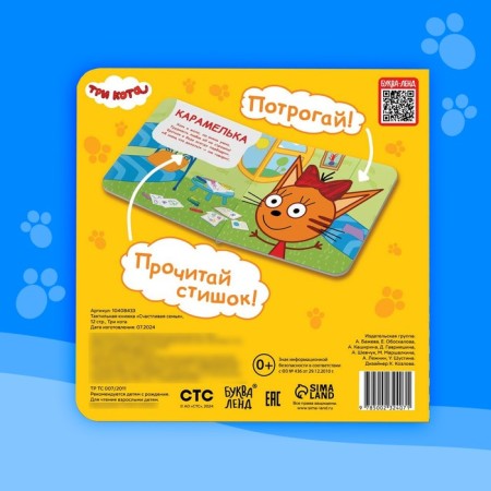 Tactile book "Happy Family", 12 pp., 6 tactile inserts, three cats-5