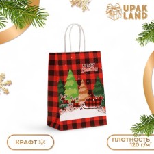 Package Gift craft 