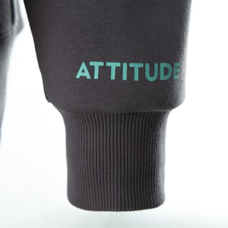 Male sweatshirt is formed, color graphite, size 58-11