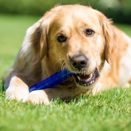 Toy training chewing "stick" hollow, 24.5 cm, blue-2