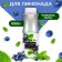 Richeza concentrate "Blueberries - Mint", 1000 g