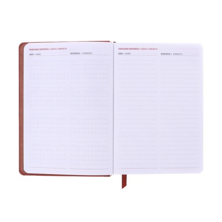 Dated diary of 2025, A6+, 176 sheets "Lyon", solid cover, pancake embossing, with liesa, block 80 g/m2, brown-7